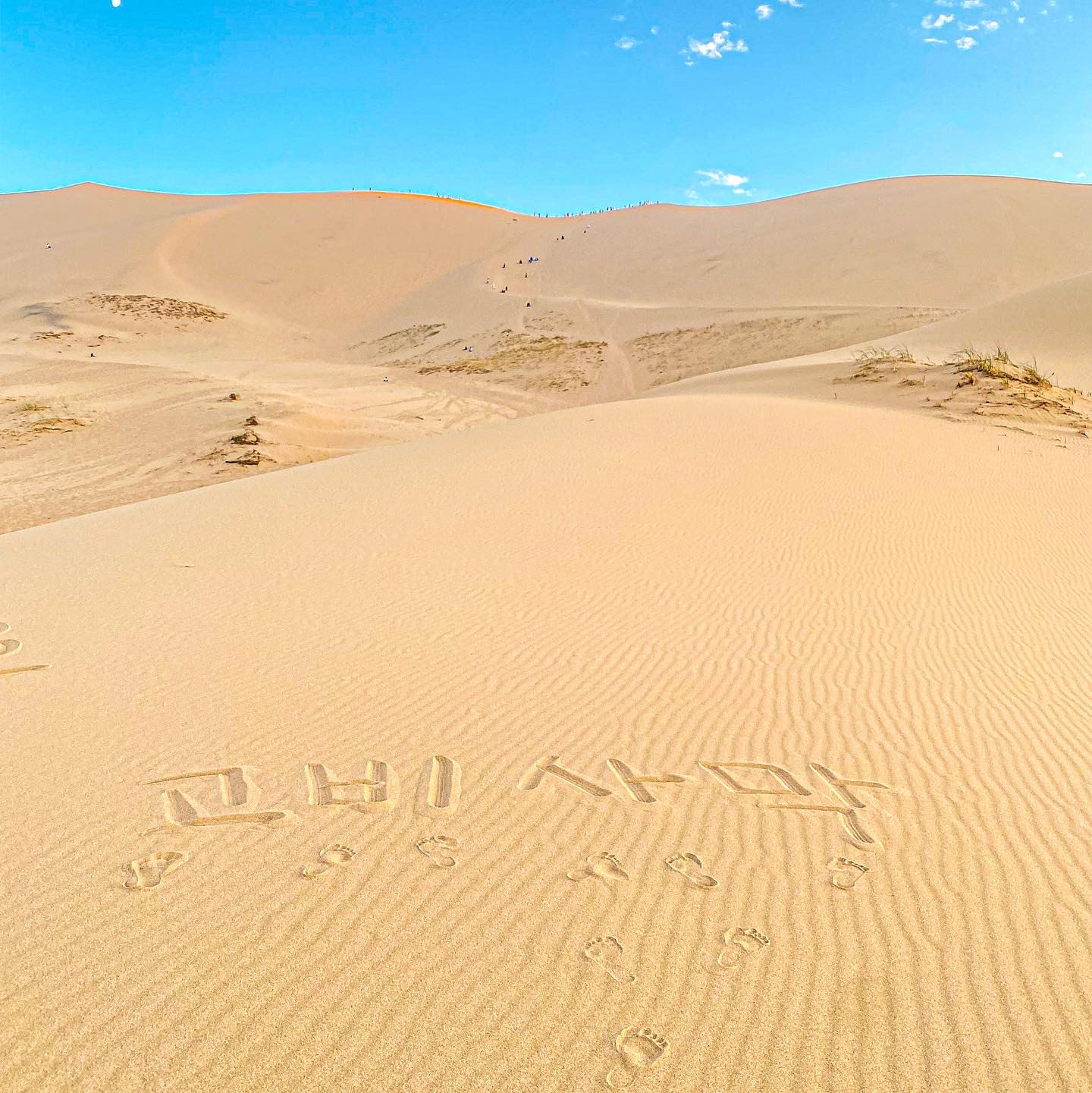 2A180B31-1BBE-4136-BEB4-F392BFCDACAD